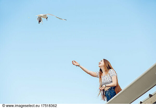 Ginger teen girl feeding seagulls