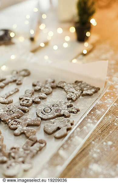 Gingerbread cookies on tray in kitchen