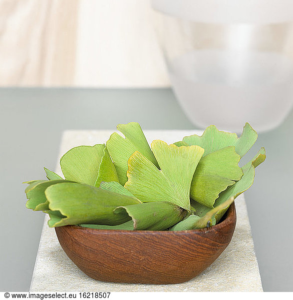 Ginkgo leaves in wooden bowl (Ginkgo biloba)