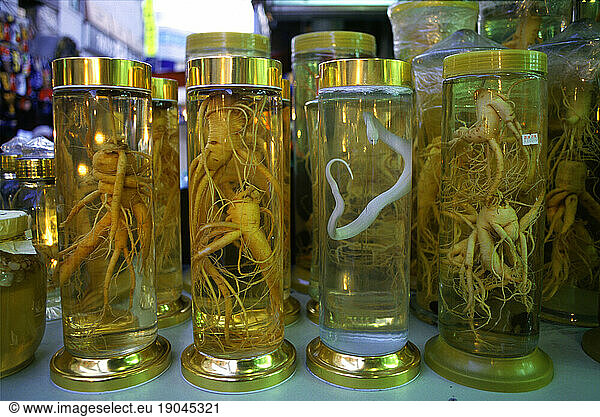 Ginseng and white snake  Namdaemun market