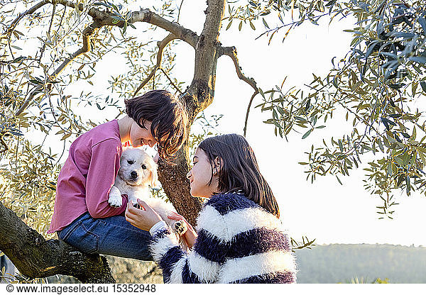 Girl and her friend petting a cute golden retriever puppy in orchard  Scandicci  Tuscany  Italy