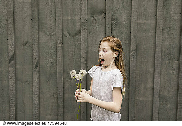 Girl blowing dandelions by wall