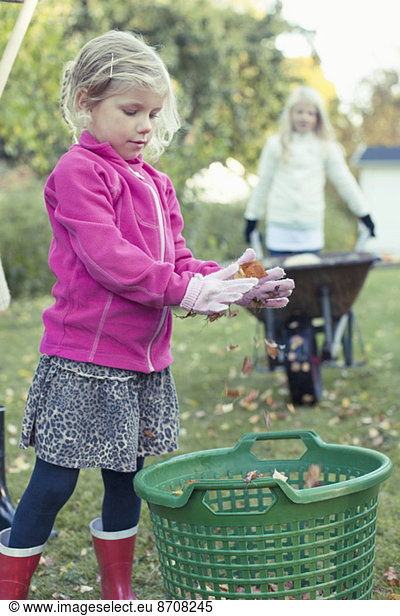 Girl collecting autumn leaves in basket at yard