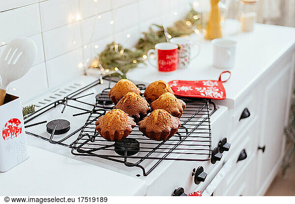 Girl cooks Christmas cupcakes in the kitchen