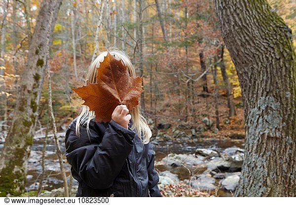 Girl covering face with maple leaf in forest