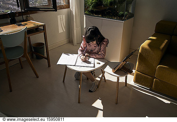 Girl doing homework in the living room