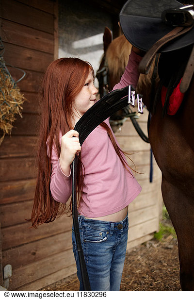 Girl fastening horse's saddle at barn