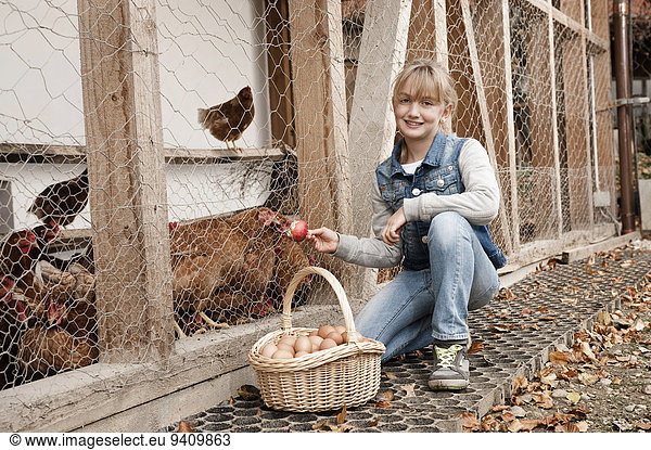 Girl feeding chickens on organic farm