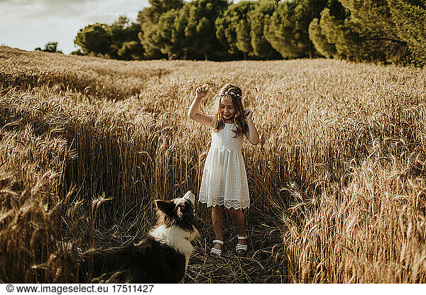 Girl having fun with Border Collie dog in wheat field