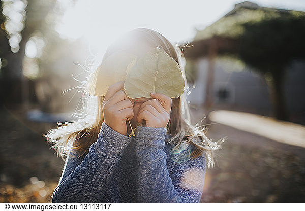 Girl hiding face with leaves on sunny day