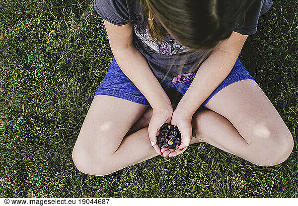 Girl Holding Fresh Picked Organic Wild Black Raspberries in her Hands