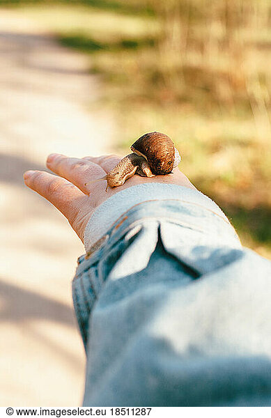 Girl holding snail on her hand outdoors