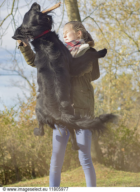 Girl holding stick and retriever jumping to catch