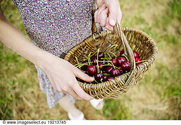 Girl holding wicker basket with cherries in garden