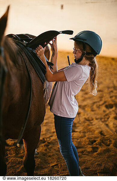 Girl in riding helmet adjust saddle on brown horse in barn