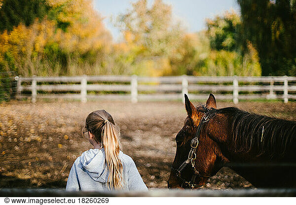 Girl leads brown horse through fall colors in outdoor fence