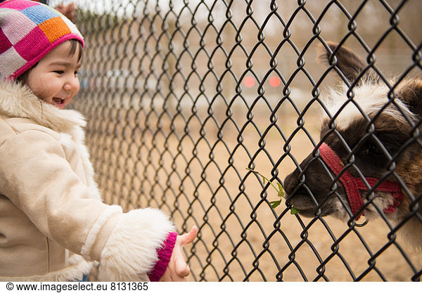 Girl looking at animal through wire fence in zoo