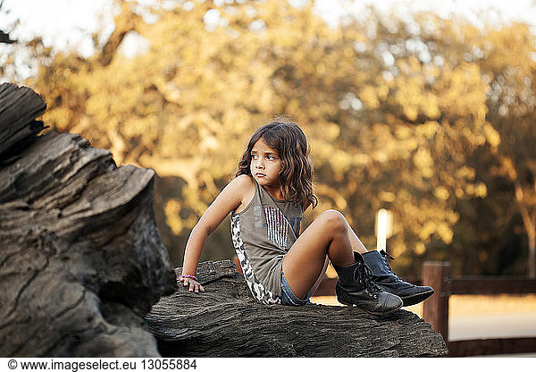 Girl looking away while sitting on tree trunk