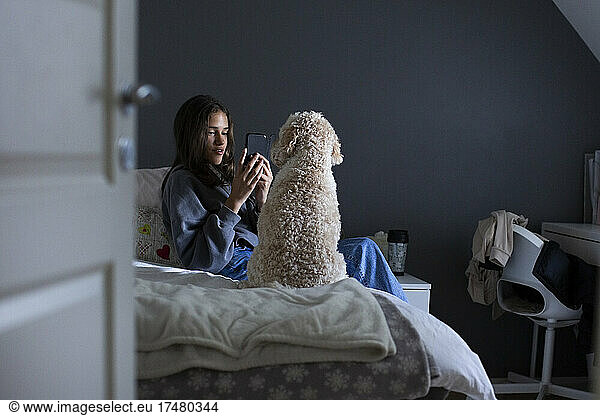 Girl photographing dog through smart phone in bedroom
