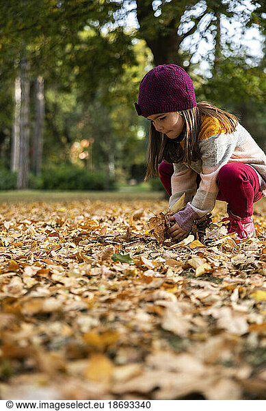 Girl picking up dry autumn leaves at park