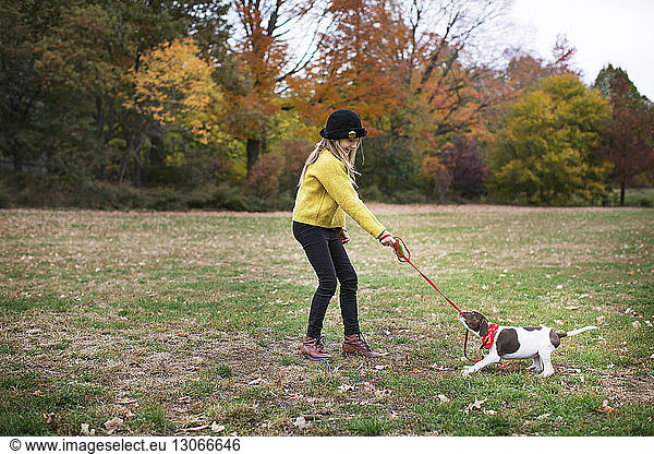 Girl playing dog in park during autumn