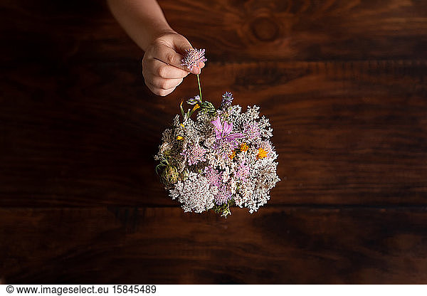 Girl's hand placing wildflower in vase from above dark background