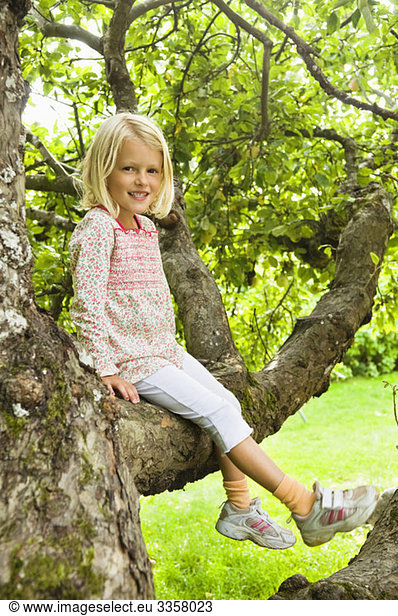 Girl sitting in tree