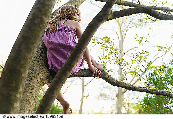 Girl (6-7) sitting in tree
