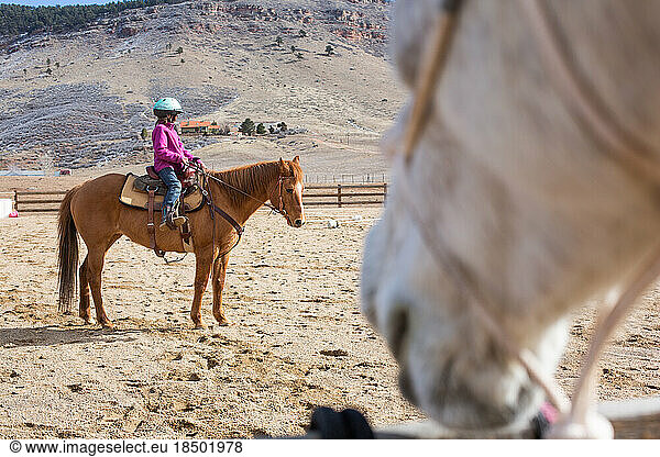 Girl sitting on horse with close up of another horse in foreground