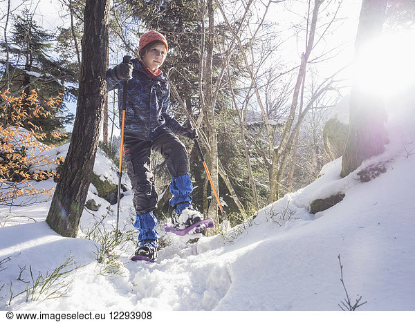 Girl snowshoeing in Black Forest under bright sunlight  Germany  Europe