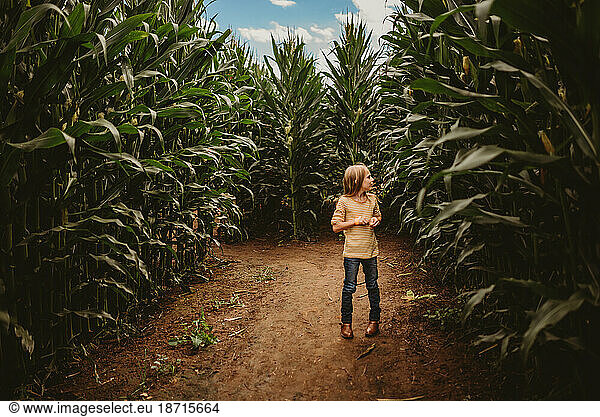 Girl standing in Corn Field