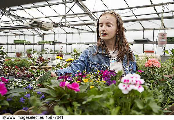 Girl tending to flowers in a greenhouse