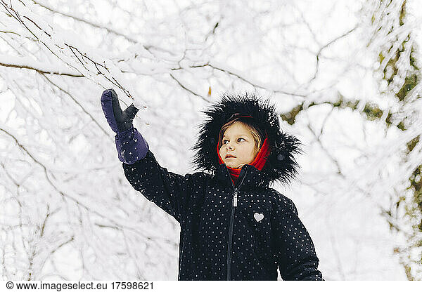 Girl touching branch covered in snow