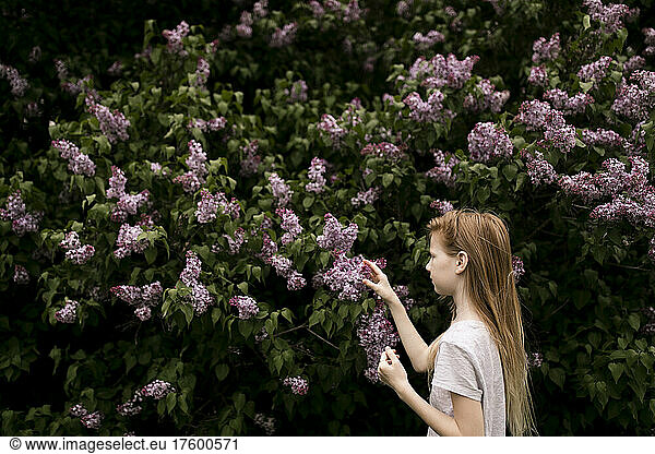 Girl touching lilac flowers in nature