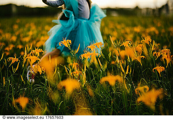 Girl twirls in a blue skirt in orange fall lily flower field