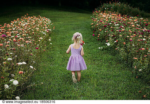 Girl walking through flower field of colorful zinnias