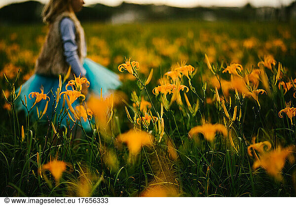 Girl walks through fall orange lily flower field