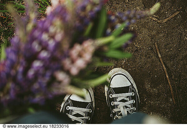 Girl wearing canvas shoes standing with lupin flowers