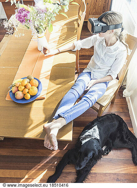 Girl wearing virtual reality glasses in living room with dog relaxing on floor