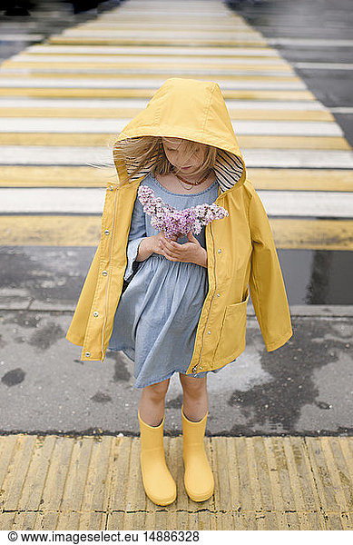 Girl wearing yellow rainjacket  standing on zebra crossing  holding lilac