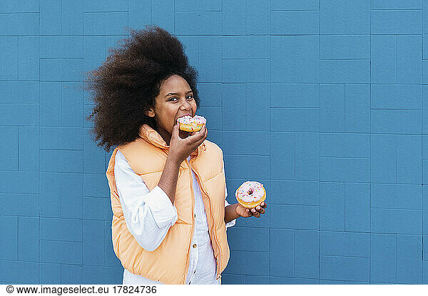 Girl with Afro hairstyle eating pink doughnuts standing by blue wall