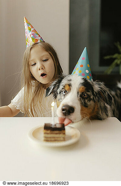 Girl with Australian Shepherd in front of birthday cake on table