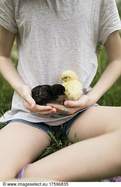 Girl with baby chickens at farm