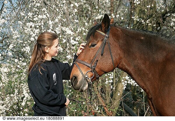 Girl with cold blooded horse  mare  bridle