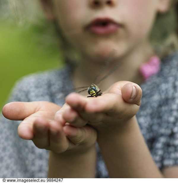 Girl with dragonfly on palm