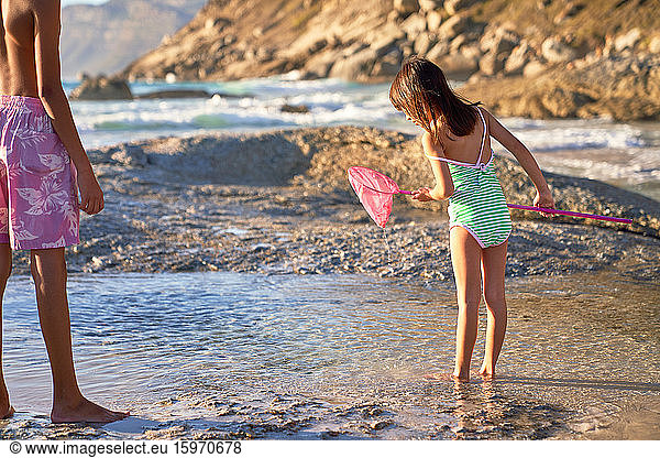 Girl with fishing net playing in tide pool on sunny beach