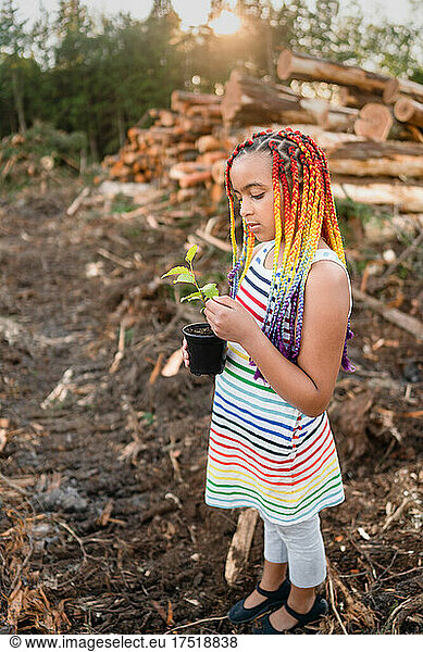 Girl with rainbow braids examines sapling on logging site