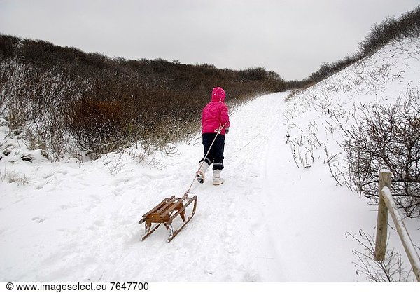 girl with sledge in the dunes in the Netherlands
