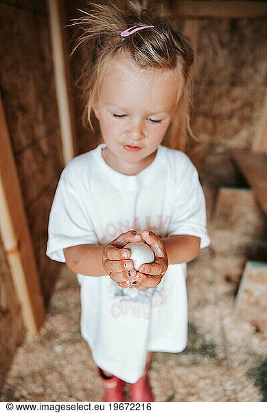 Girl  4years   holds chicken egg in coop carefully.