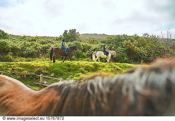 Girls horseback riding on sunny grass ridge